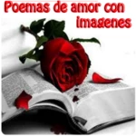 Logo of Poemas de amor con imagenes android Application 